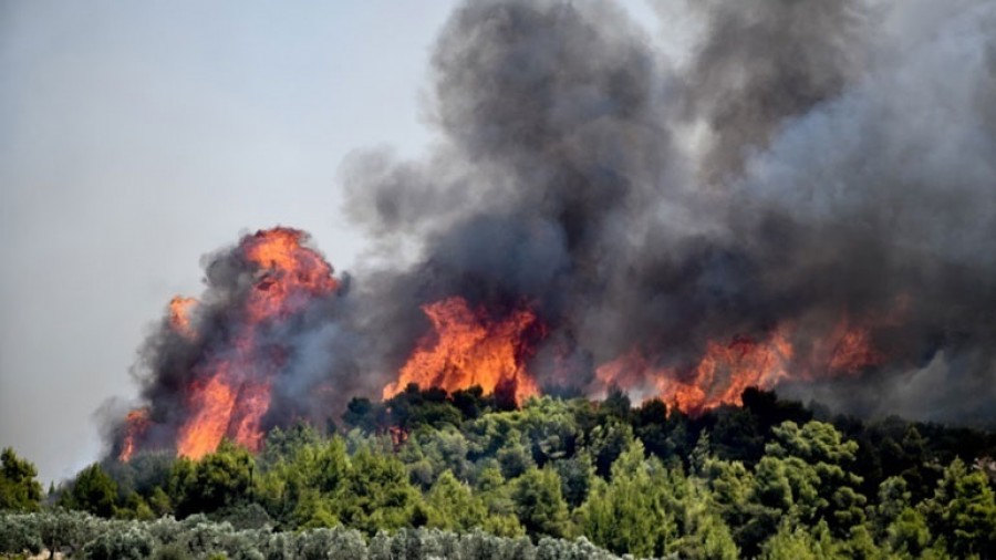 Υπό μερικό έλεγχο η πυρκαγιά σε δασική έκταση στο Πόρτο Γερμενό - Δεν απειλήθηκε οικισμός