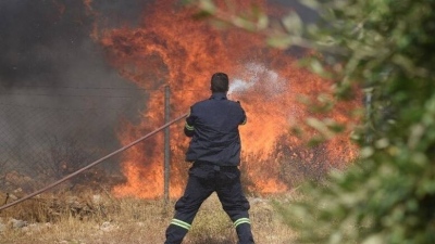 Φωτιά στη Μεσσηνία - Έχει υποβληθεί αίτημα για εναέρια μέσα