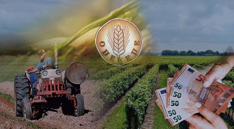 Η ΑΑΔΕ ανακοίνωσε μαζικές διαγραφές αγροτεμαχίων από το Ε9 – 50 στον Εισαγγελέα, 3.000 οι ύποπτοι που προσπάθησαν να καλύψουν ίχνη