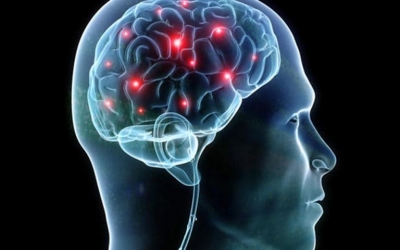 Έκπληξη: Επιστήμονες κατέγραψαν την δραστηριότητα σε έναν ετοιμαθάνατο εγκέφαλο - Τι έδειξε η έρευνα