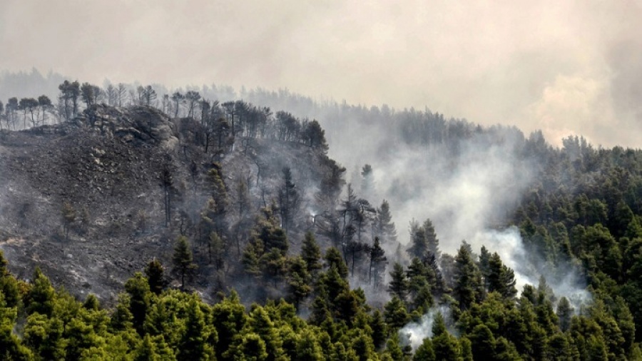 Άρση τηλεφωνικού απορρήτου ζητούν οι Αρχές για την φωτιά στην Έυβοια -  Eνδείξεις εμπρησμού - Κάηκαν πάνω από 25 χιλ. στρέμματα