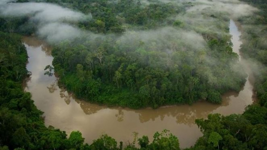 Ισημερινός: Διαρροή πετρελαίου μολύνει ποταμό στο δάσος του Αμαζονίου – Εργασίες καθαρισμού
