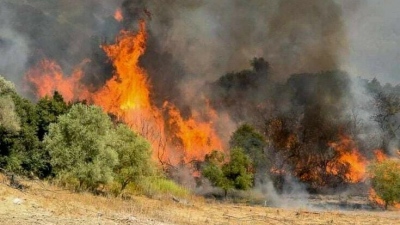 Φωτιά στη Μεσσηνία - Κινητοποιήθηκαν και εναέρια μέσα της Πυροσβεστικής