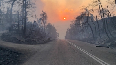 Ενίσχυση 700.000 ευρώ στους δασικούς συνεταιρισμούς της Β. Εύβοιας και 200.000 ευρώ στα Κέντρα Περίθαλψης Ειδών Άγριας Πανίδας