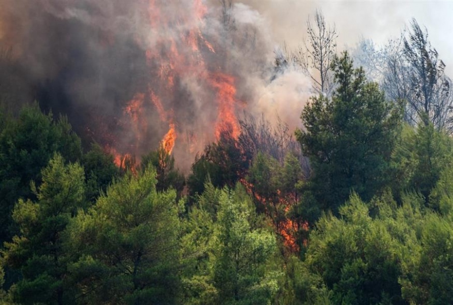 «Μάχες» με τις φλόγες σε Μεσσηνία, Κύθηρα, Εύβοια, Θεσσαλονίκη – Εκρηκτικό μίγμα καύσωνα και ισχυρών ανέμων