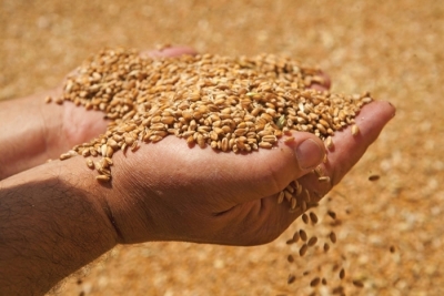 To Kίεβο κατηγορεί τη Ρωσία ότι «κλέβει» σιτηρά από τα εδάφη που έχει καταλάβει - Θα προκαλέσει παγκόσμια επισιτιστική κρίση, λέει