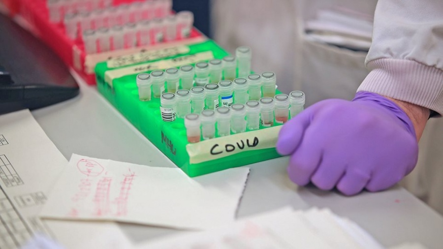 Καλά στην υγεία τους δηλώνουν ότι είναι οι φοιτητές που βρίσκονται στην Βαρκελώνη για το Erasmus+