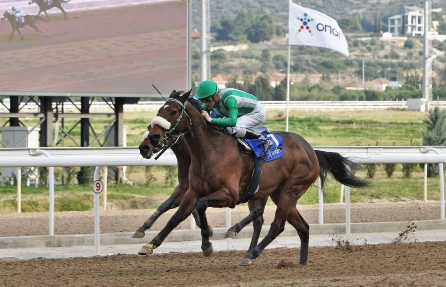 Markopoulo Park: Πολλοί νικητές στο ΣΚΟΡ 6 και ακόμα μια μεγάλη νίκη για τον θεσμό του syndication