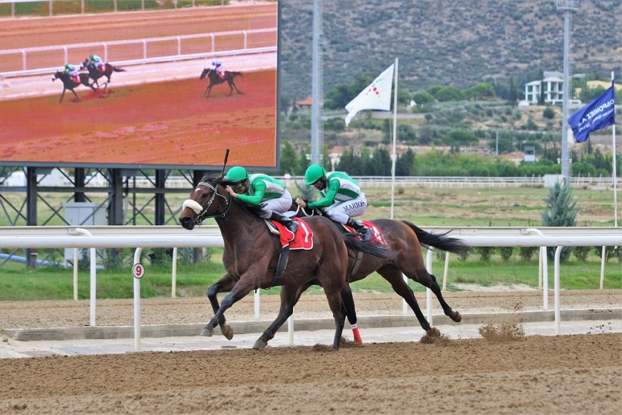 Markopoulo Park: Επικράτησαν τα φαβορί και μοίρασαν κέρδη σε 130 νικητές στο ΣΚΟΡ 6