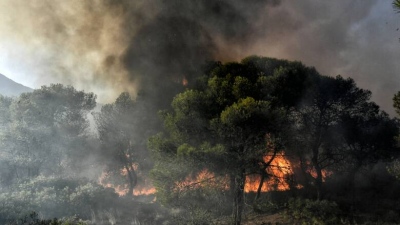 Φωτιά στη Σκιάθο - Σε δασική έκταση στην Πούντα - Τέθηκε υπό έλεγχο, λέει ο δήμαρχος