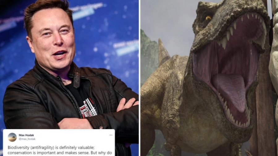 Ο Elon Musk έχει πλέον την τεχνολογία να φτιάξει ένα... αληθινό Jurassic Park, λέει συνέταιρός του
