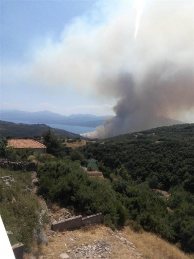 Φωτιά στο Ευπάλιο Φωκίδας – Ενισχύθηκαν οι πυροσβεστικές δυνάμεις