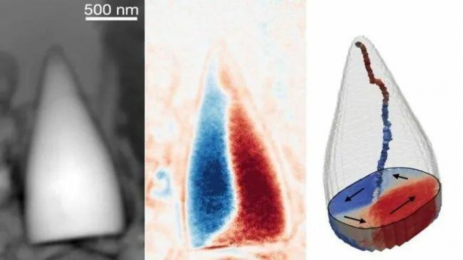 Σοκ για τους επιστήμονες: Ανακαλύφθηκε «μαγνητικό» πλάσμα μέσα σε αρχαίο απολίθωμα