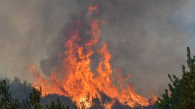 Μεγάλη φωτιά μαίνεται στο νότιο Πήλιο - Μάχη για τον έλεγχό της από δυνάμεις της Πυροσβεστικής