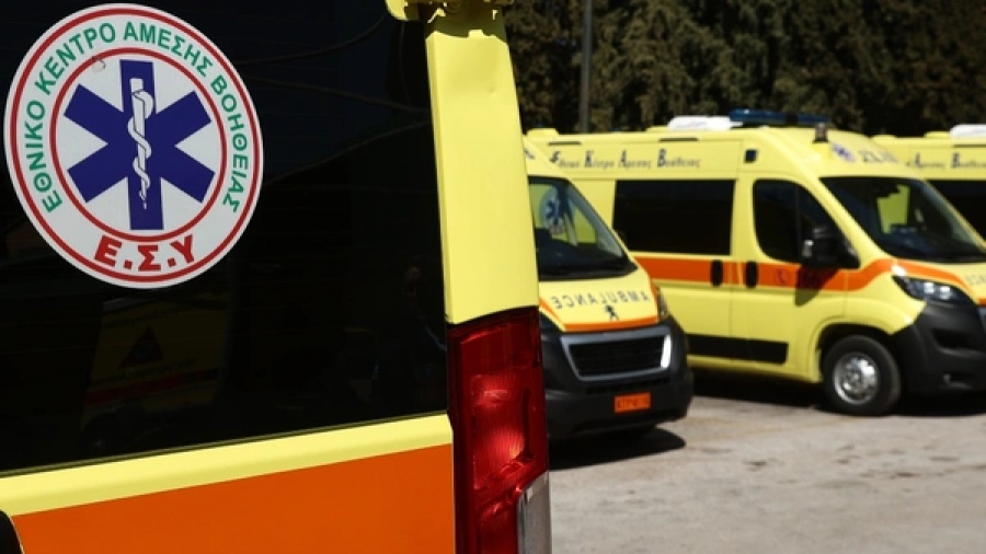 Σοκ στη Φθιώτιδα από επίθεση σκύλου σε γυναίκα - Της ακρωτηρίασε δύο δάχτυλα