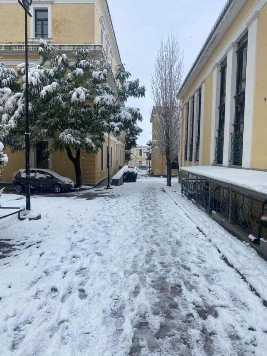 Η κακοκαιρία Μήδεια έριξε δέντρο και έκλεισε την… Ευελπίδων