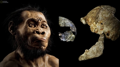 Homo bodoensis: Ανακαλύφθηκε νέος πρόγονος του ανθρώπου - Ζούσε στην Αφρική πριν 500.000 χρόνια