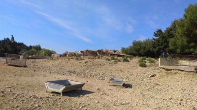 Διατάχθηκε ΕΔΕ για τις τραγικές εικόνες στο Ελαφοκομείο Ρόδου – Παρέμβαση και της Εισαγγελίας