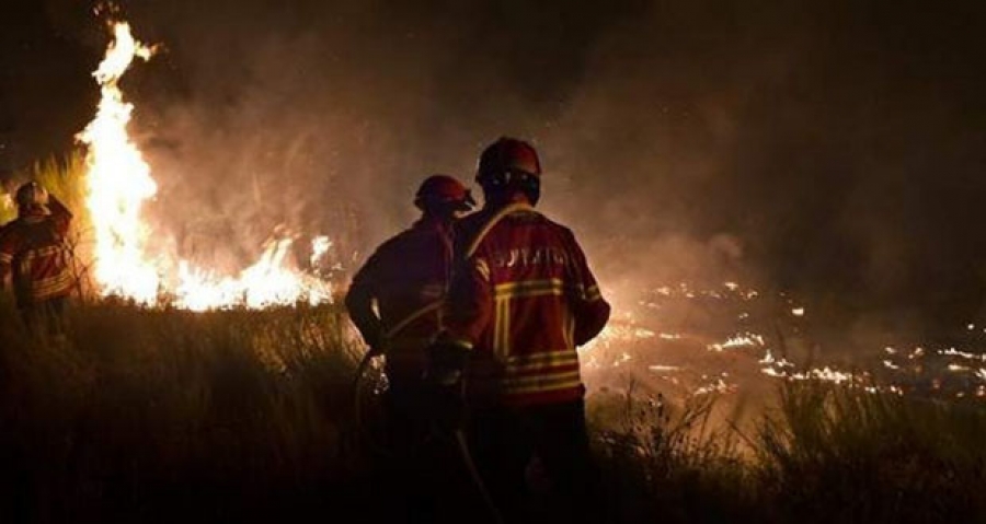 Δύο πυρκαγιές σε δασικές εκτάσεις στην Νέα Μάκρη Αττικής