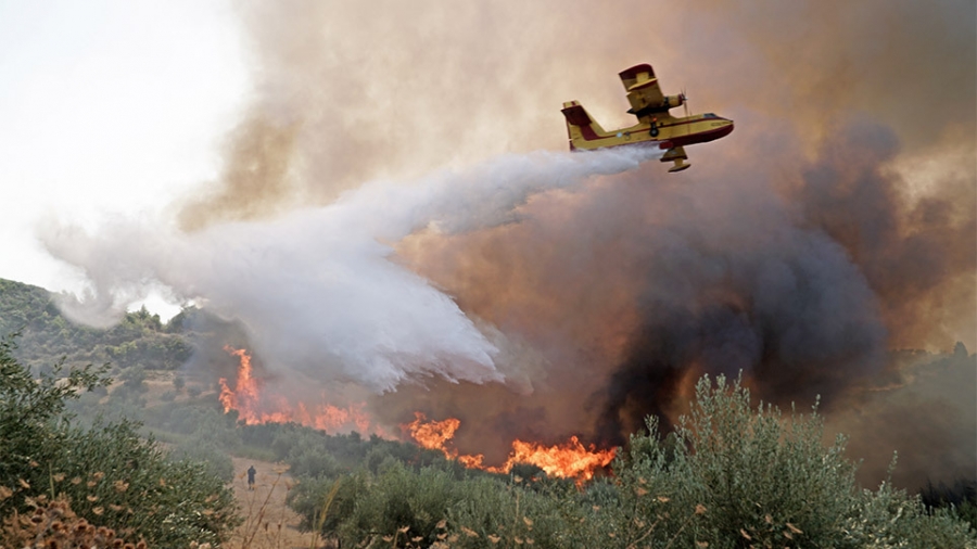 Πυρκαγιά Ηλεία: Σώθηκαν οι οικισμοί, μάχη με τις φλόγες – Παραμένει ο συναγερμός