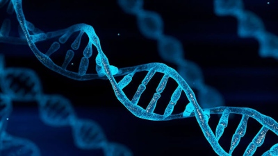 «Μυστήριο 200 ετών λύθηκε από μια… τρίχα - Το DNA συνδέει τον Thomas Jefferson με τη Sally Hemings