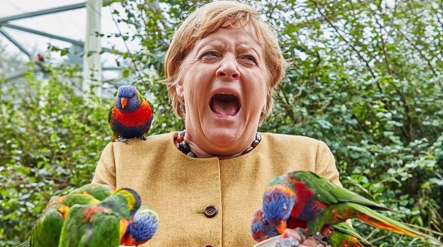 Επίθεση παπαγάλου στη Merkel λίγο πριν ανοίξουν οι κάλπες