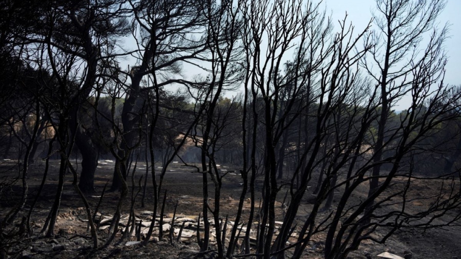 To ΥΠΕΝ αμφισβητεί τις εικόνες από δορυφόρους με τις καμένες εκτάσεις: Χαμηλής ευκρίνειας με σημαντικά περιθώρια λάθους