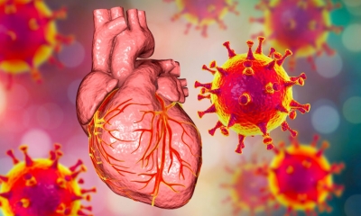 Το Πανεπιστήμιο της Χαϊδελβέργης εξηγεί γιατί τα εμβόλια covid είναι θανατηφόρα - Ραγδαία αύξηση καρδιακών προβλημάτων