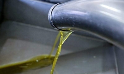 Ανήλικοι Ρομά έκλεψαν 2 τόνους λάδι από συνεταιρισμό στην Καλαμάτα