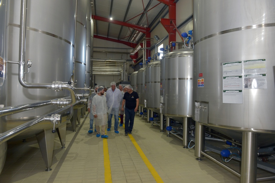 Ολυμπιακή Ζυθοποιία: Πλήθος επισκεπτών τίμησε τα «Ανοιχτά Ζυθοποιεία»