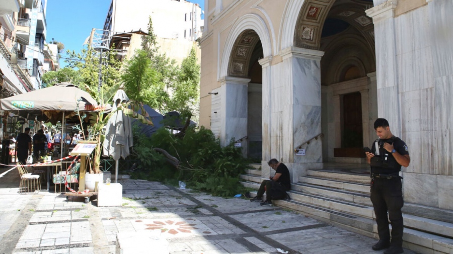 Τι λέει ο Δήμος Αθηναίων για την πτώση δέντρου στην πλατεία Αγίας Ειρήνης με δύο τραυματίες