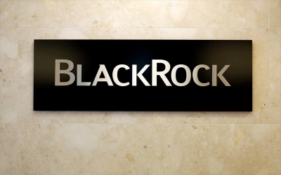 BlackRock: Είδος προς εξαφάνιση η ανάπτυξη λόγω πληθωρισμού - Γιατί ευνοούνται οι μετοχές