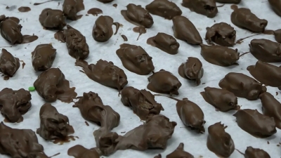 Τζιτζίκια καλυμμένα με... σοκολάτα προσφέρει ένα ζαχαροπλαστείο στις ΗΠΑ