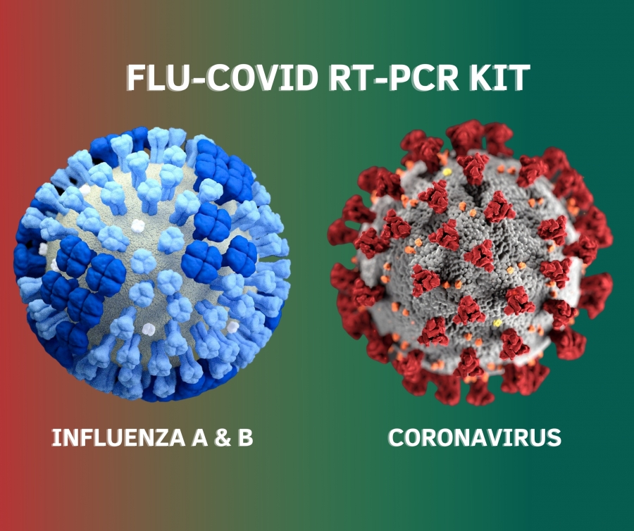 H ΕΕ αντιμέτωπη με την απειλή μιας ασυνήθιστα μακράς περιόδου γρίπης παράλληλα με την COVID-19
