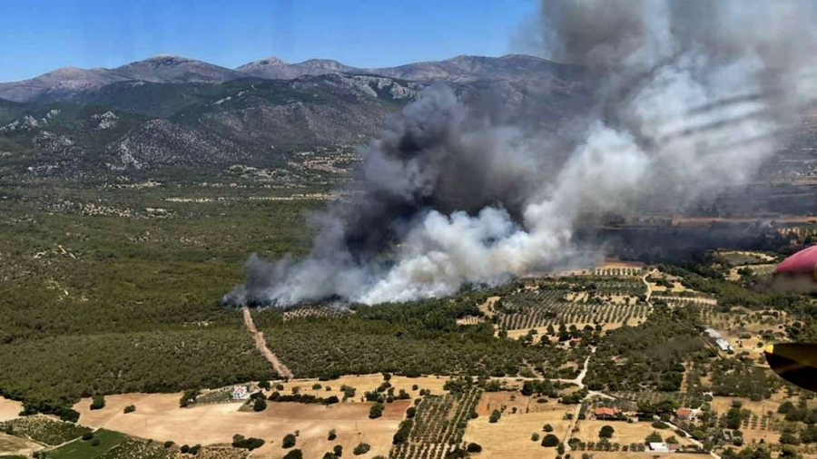 Άμεσα τέθηκε υπό έλεγχο φωτιά που ξέσπασε στα Μέγαρα – Επί τόπου δυνάμεις της Πυροσβεστικής