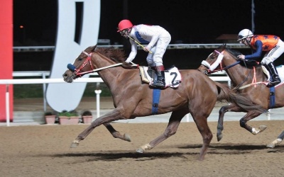 Το Κύπελλο 25ης Μαρτίου σήμερα στο Μαρκόπουλο - Πέντε ιπποδρομίες με έντονη αγωνιστική δράση