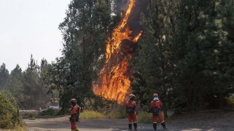 Περισσότεροι από 64 οι νεκροί από τις φονικές πυρκαγιές στη Χιλή – Οι περισσότεροι απανθρακώθηκαν