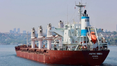 Ουκρανία: Ακινητοποιημένα στα λιμάνια 219 πλοία που μεταφέρουν σιτηρά, «μπλόκο» στις εξαγωγές
