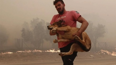 «Όχι άλλους ήρωες, ανθρώπους ζωντανούς θέλουμε»: «Κραυγή» από τη σύζυγο ανθρώπου που διέσωζε ζώα από τις φλόγες