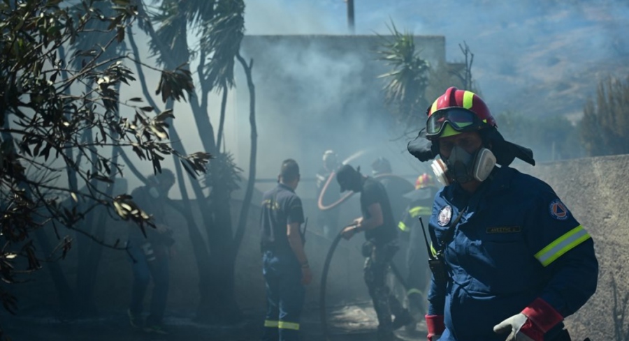 Φωτιά σε δασική έκταση στη Σπάρτη - 68 αγροτοδασικές πυρκαγιές το τελευταίο 24ωρο