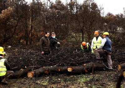 Δωρεά της Coca Cola Hellas για την αποκατάσταση των καμένων εκτάσεων της περιοχής Βαρυμπόμπης - Τατοΐου