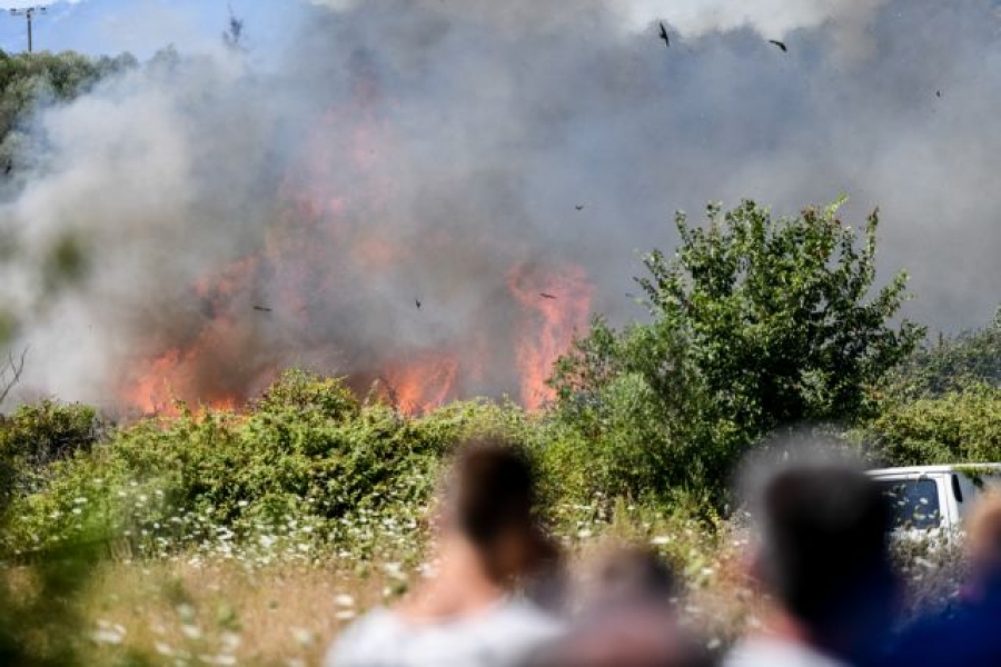 Πάτρα: Πολύ καλύτερη η εικόνα της φωτιάς στην ευρύτερη περιοχή της Καλλιθέας