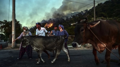 Απόλυτος συναγερμός στην Τουρκία: Η φωτιά πλησιάζει τον ηλεκτρικό σταθμό του Μίλας