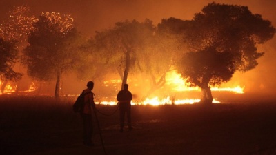 Η ασφαλιστική αγορά αποζημιώνει για τις καταστροφικές πυρκαγιές στην Αν. Αττική