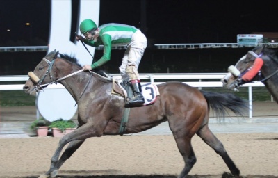 ΠΑΡΤΥ ΤΑΪΓΚΕΡ εναντίον ΠΟΕΤΙΚ ΓΚΕΣΤ σήμερα στο Μαρκόπουλο