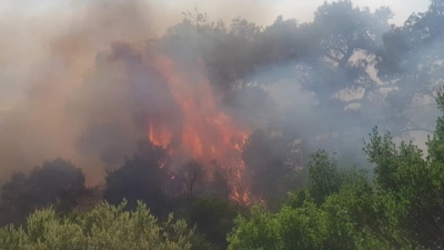 Υπό μερικό έλεγχο η μεγάλη πυρκαγιά στην περιοχή Περίβλεπτο Μαγνησίας