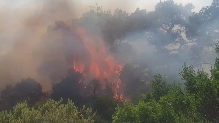 Υπό μερικό έλεγχο η μεγάλη πυρκαγιά στην περιοχή Περίβλεπτο Μαγνησίας