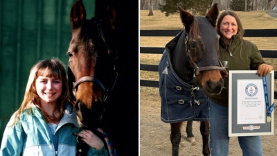 Απίστευτο αλλά αληθινό - Άλογο κατακτά το Ρεκόρ Guinness ως το γηραιότερο στον κόσμο