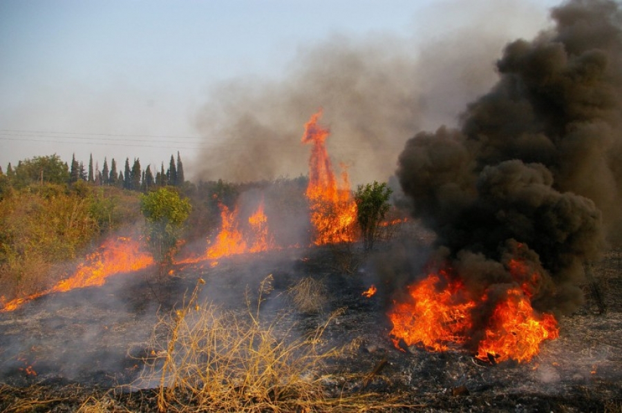 Μάχη με τις φλόγες - Πυρκαγιά κοντά σε κατοικημένη περιοχή στην Κέρκυρα