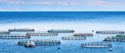 Ξεκινούν αιτήσεις οικονομικής ενίσχυσης στην υδατοκαλλιέργεια